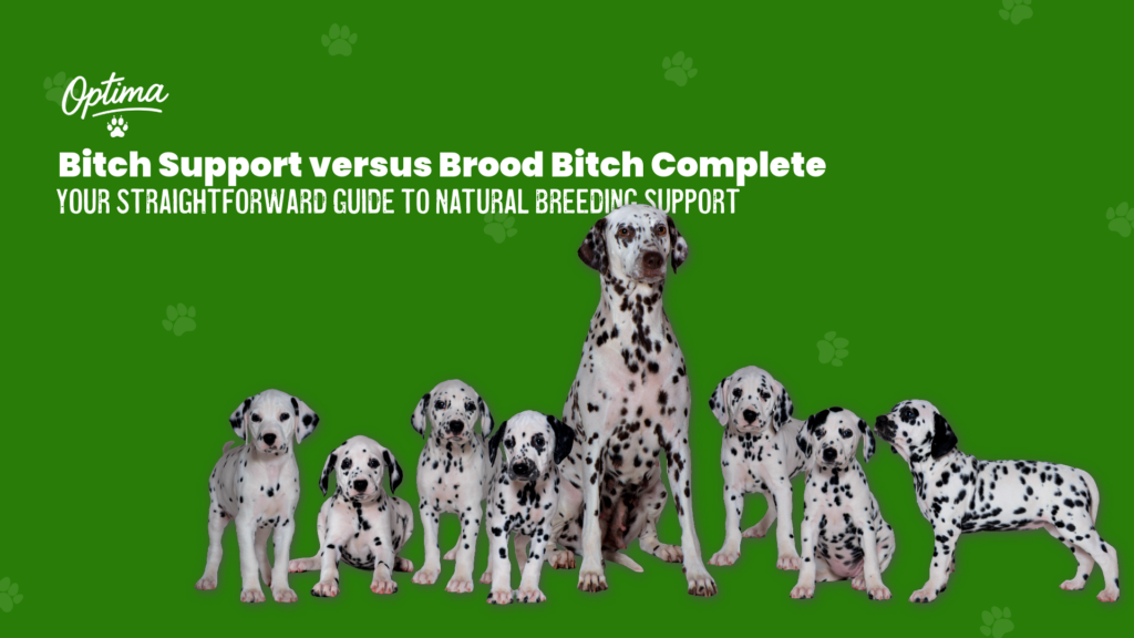 Bitch Support from Optima Canine Products
